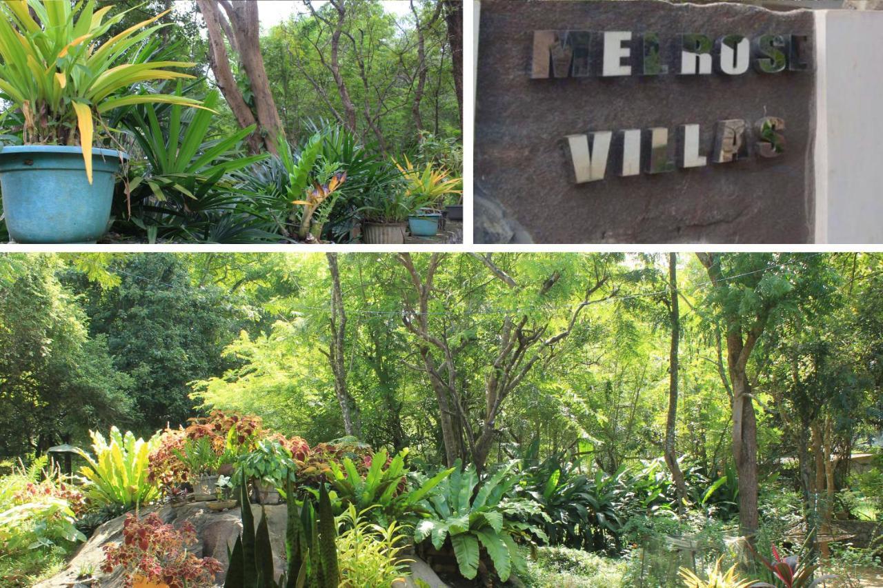 Sigiriya Melrose Villas Exterior photo