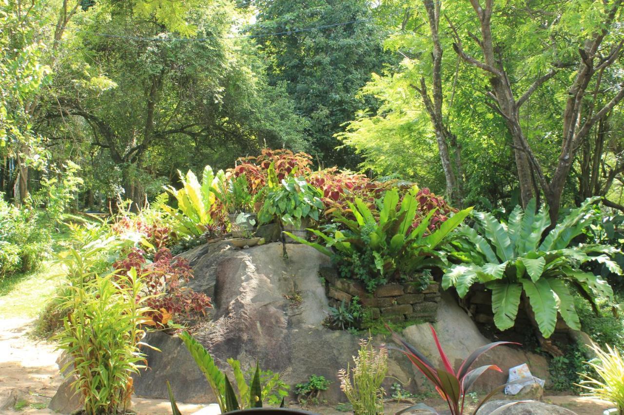 Sigiriya Melrose Villas Exterior photo